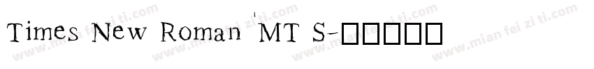 Times New Roman MT S字体转换